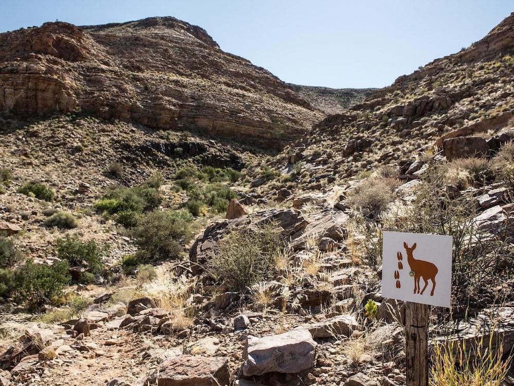 Canyon Village Stamprivier Kültér fotó